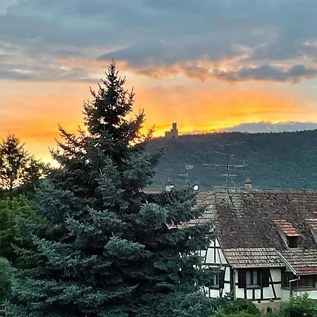 Entre Vignes Et Chateaux. Scherwiller