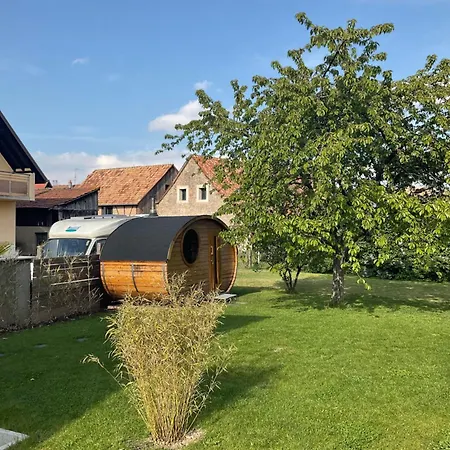 Entre Vignes Et Chateaux. Scherwiller