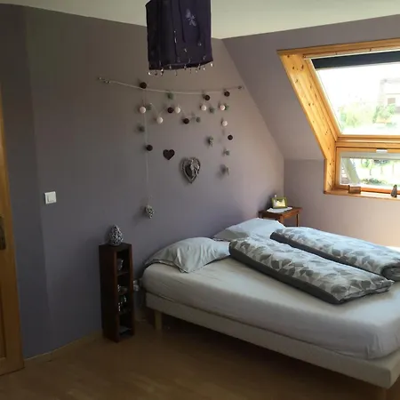 Entre Vignes Et Chateaux. Scherwiller