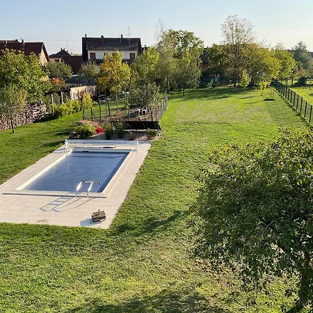 Entre Vignes Et Chateaux. * Scherwiller