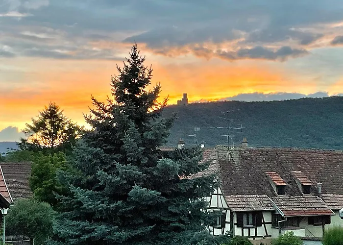 Entre Vignes Et Chateaux. Scherwiller