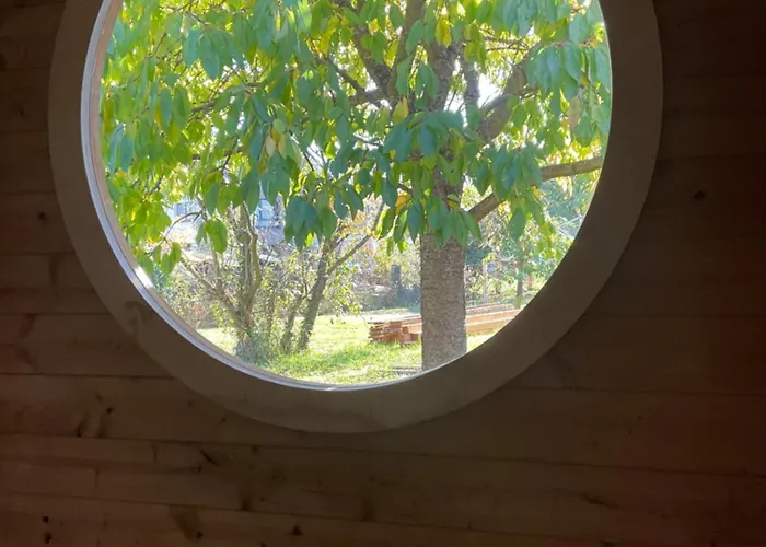 Entre Vignes Et Chateaux. * Scherwiller