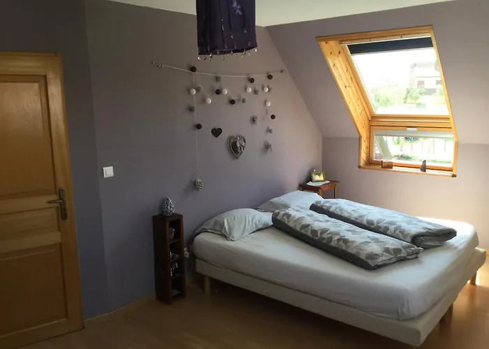 Entre Vignes Et Chateaux. Scherwiller