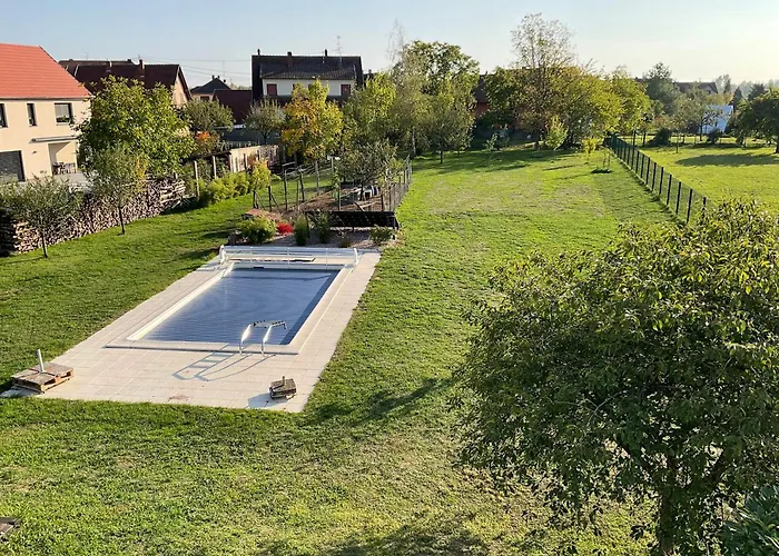 Entre Vignes Et Chateaux. * Scherwiller